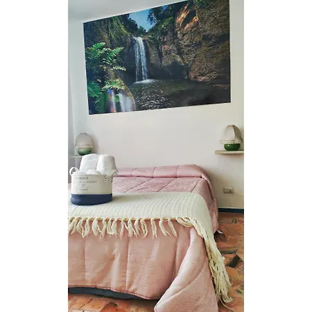 Petit Dejeuner Oda ve Kahvaltı 3*